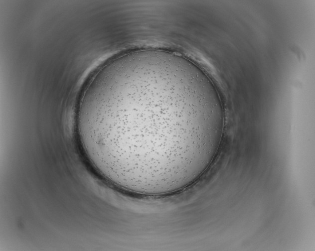 X0000113920012200910090946