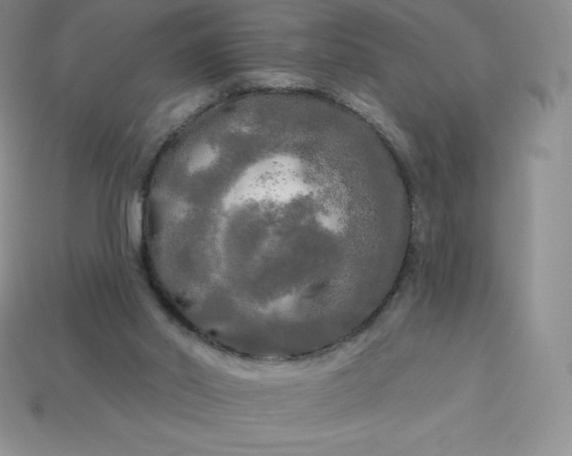 X0000113920014200910090946