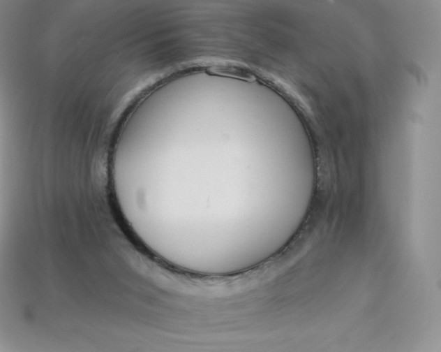 X0000113920015200910090946