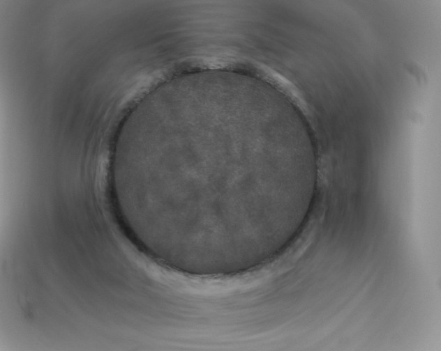 X0000113920018200910090946