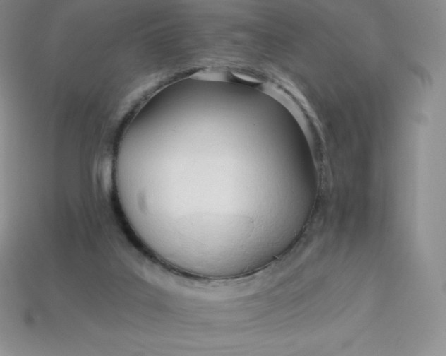 X0000113920019200910090946