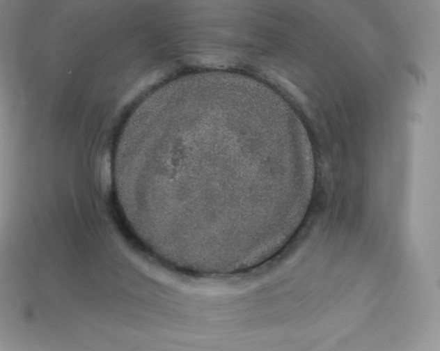 X0000113920020200910090946