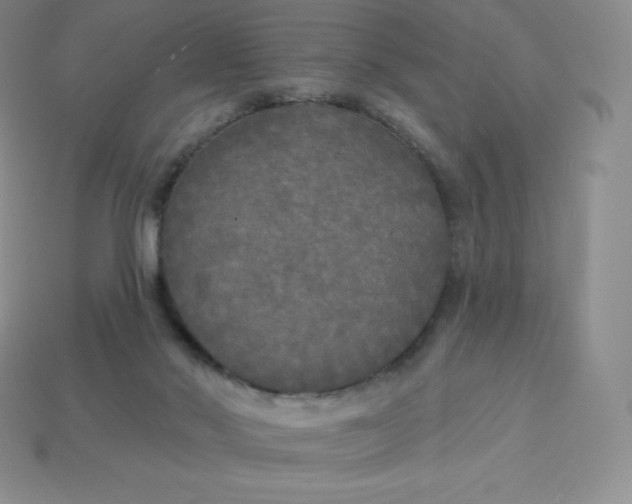 X0000113920022200910090946
