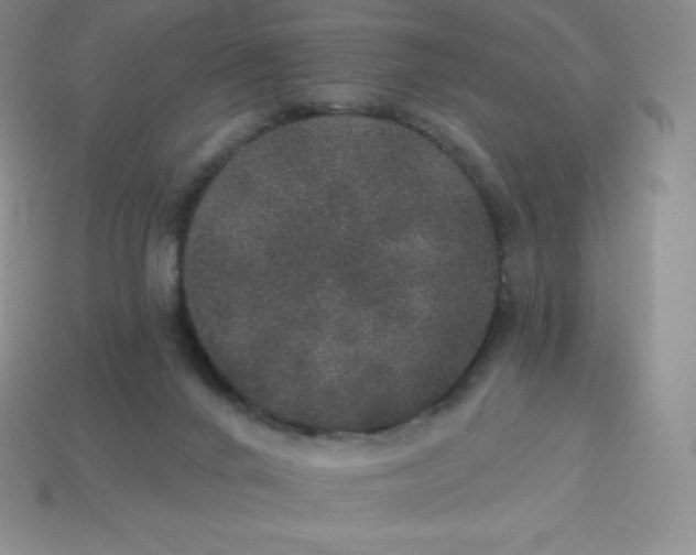 X0000113920024200910090946
