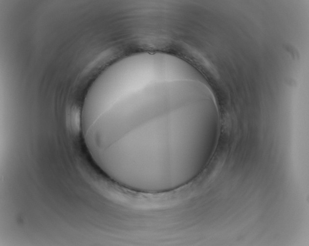 X0000113920027200910090946