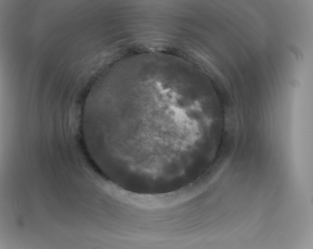 X0000113920030200910090946