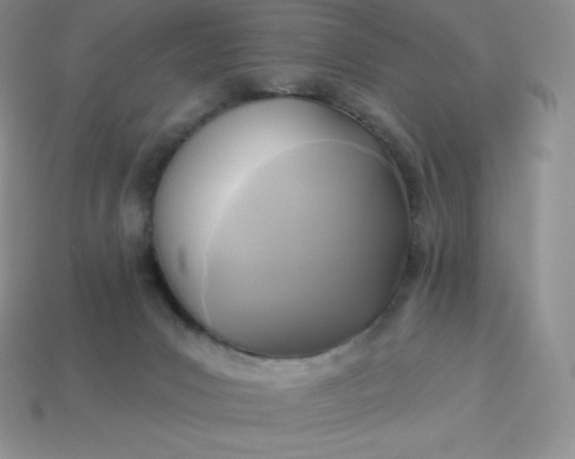 X0000113920031200910090946