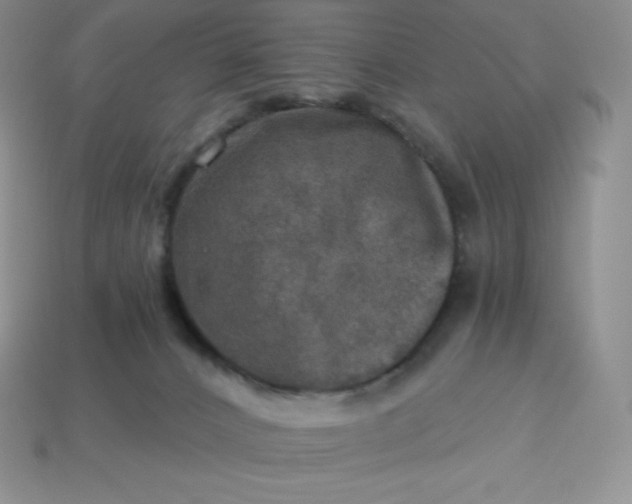 X0000113920032200910090946
