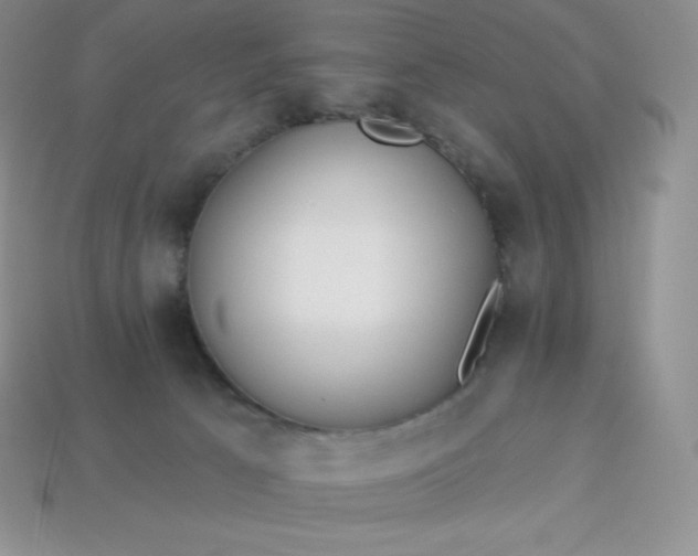 X0000113920033200910090946