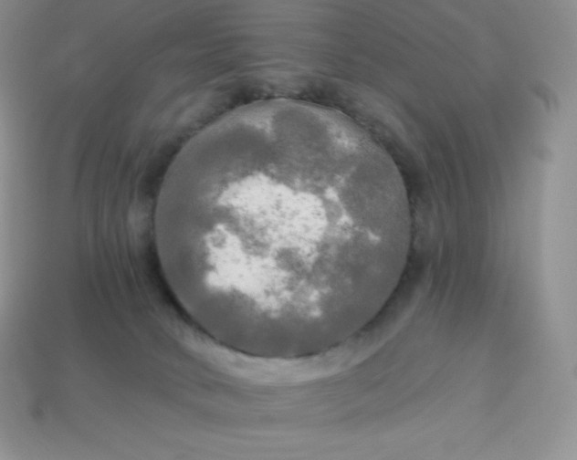 X0000113920034200910090945