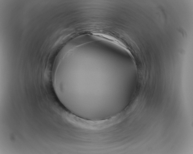 X0000113920035200910090945