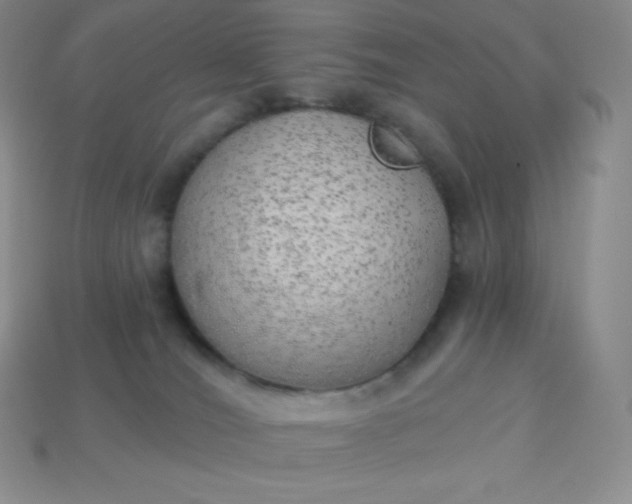 X0000113920036200910090945