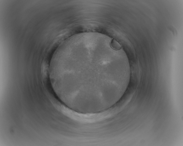 X0000113920038200910090945