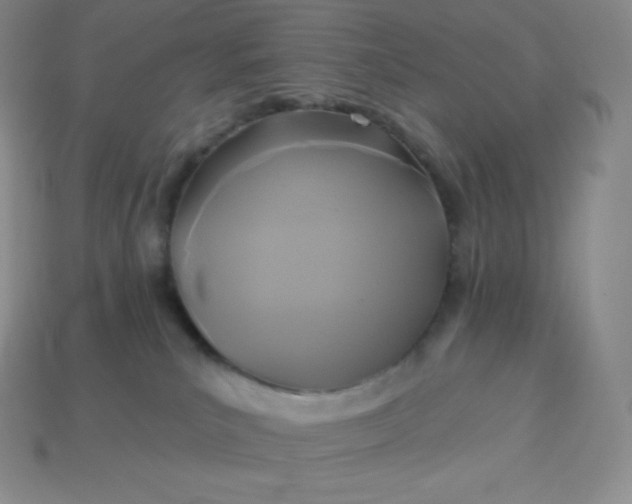 X0000113920039200910090945