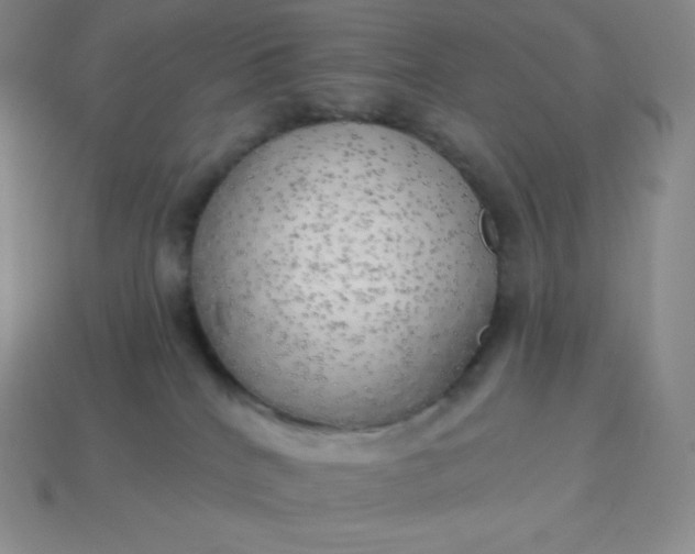 X0000113920040200910090945