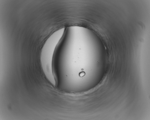 X0000113920041200910090945