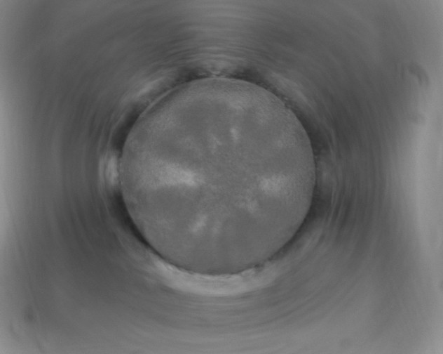X0000113920042200910090945
