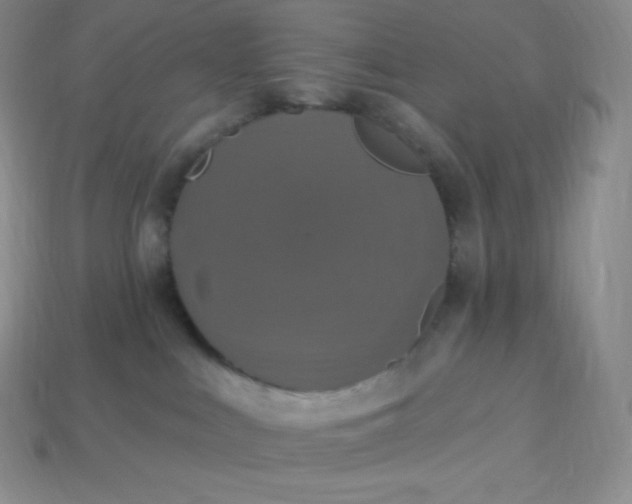 X0000113920043200910090945