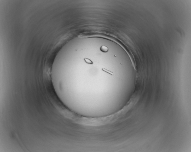 X0000113920045200910090945
