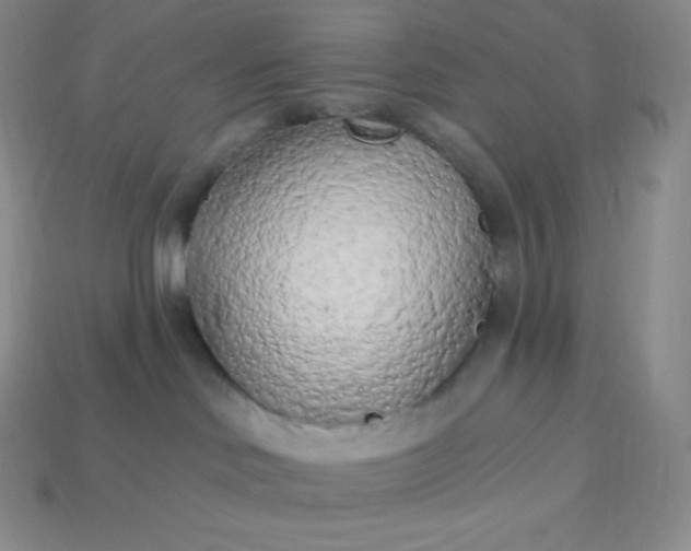 X0000113920046200910090945