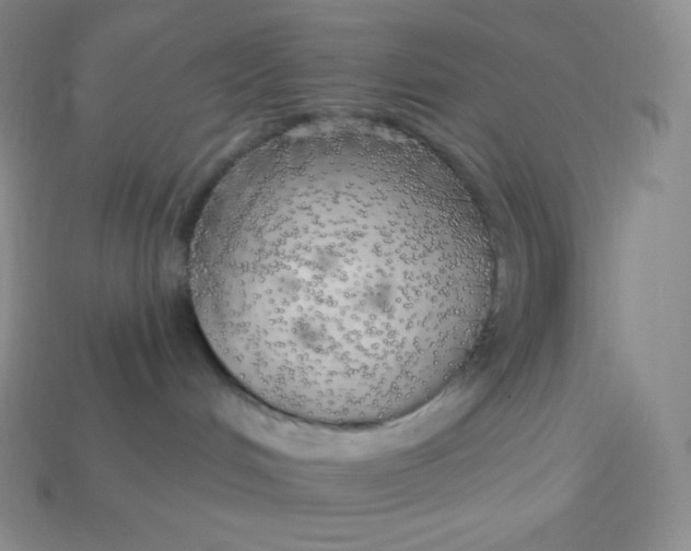 X0000113920048200910090945