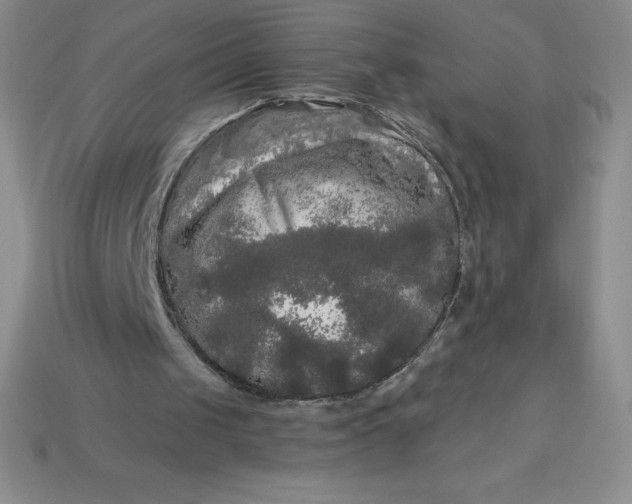 X0000113920049200910090945
