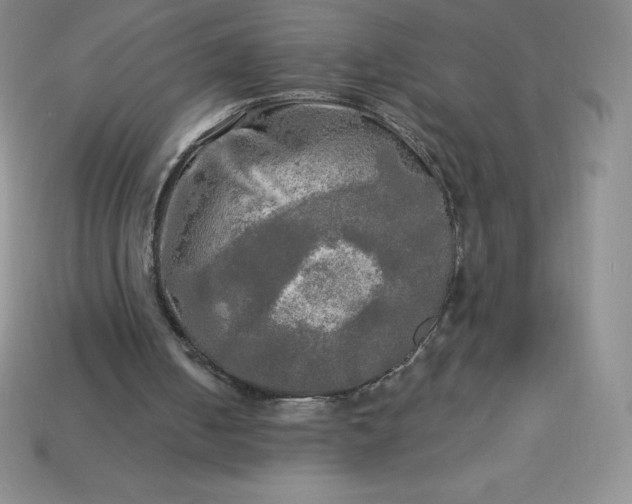 X0000113920050200910090945