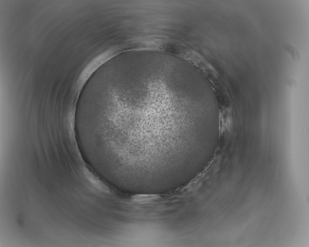 X0000113920051200910090945