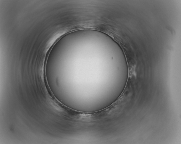 X0000113920052200910090945