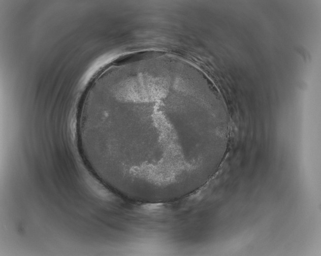 X0000113920054200910090945