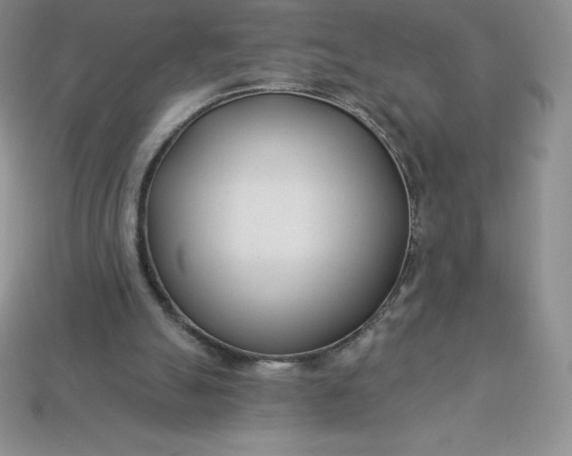 X0000113920055200910090945