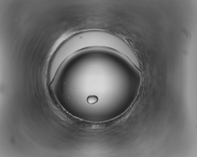 X0000113920056200910090945