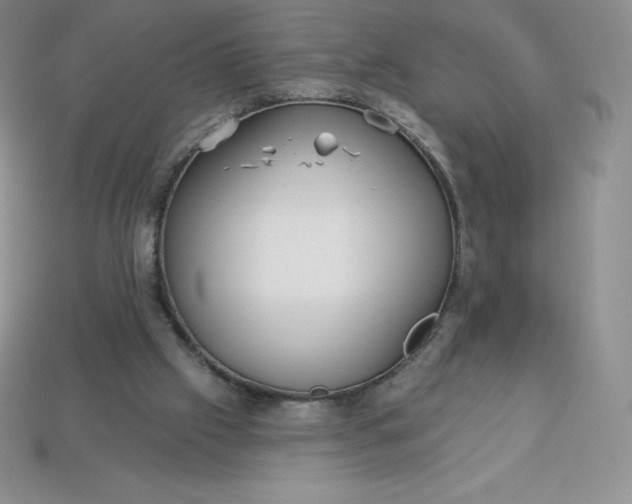 X0000113920057200910090945