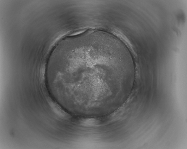 X0000113920058200910090945