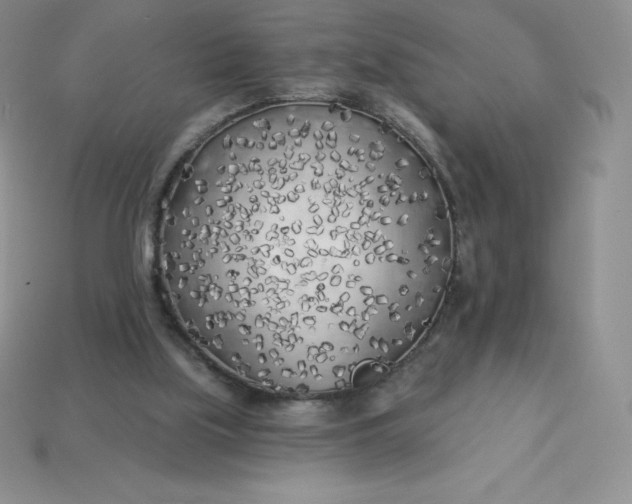 X0000113920059200910090945