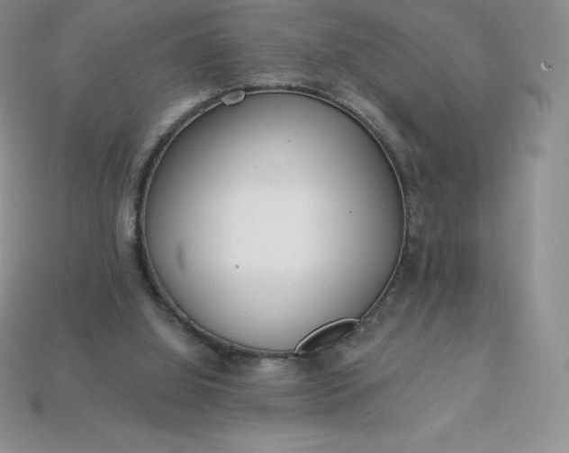 X0000113920060200910090945