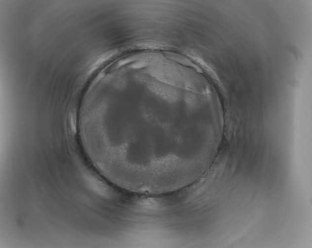 X0000113920062200910090945