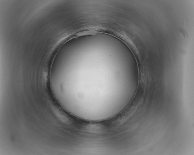 X0000113920063200910090945