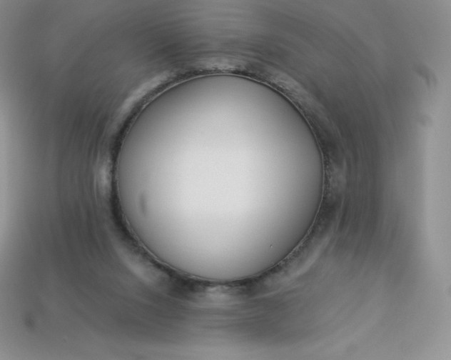 X0000113920064200910090945
