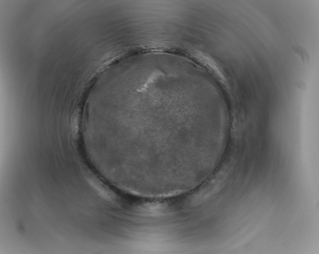 X0000113920065200910090945