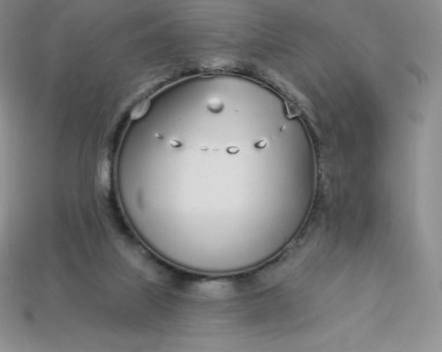 X0000113920067200910090945