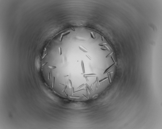 X0000113920069200910090945