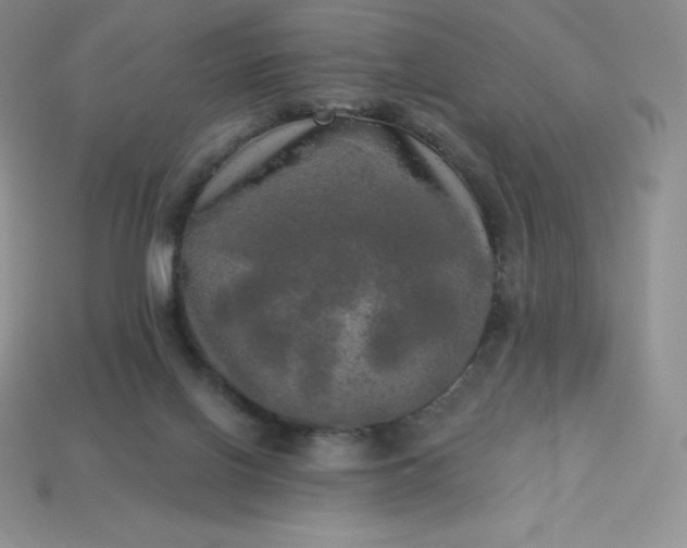 X0000113920070200910090945