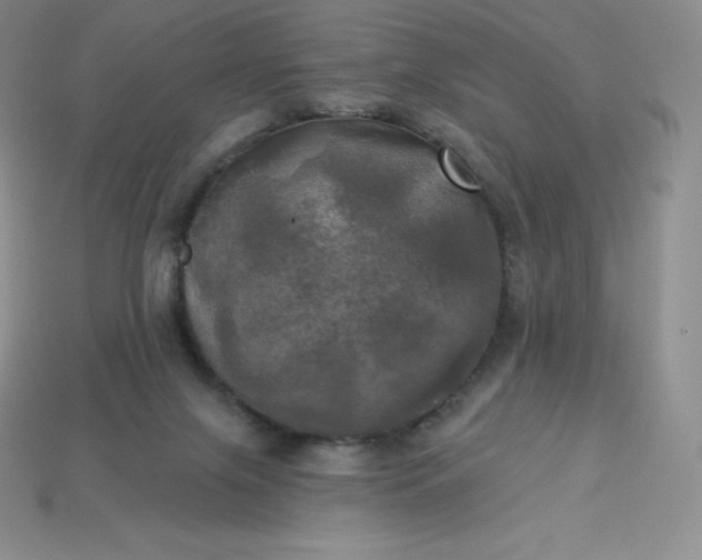 X0000113920071200910090945