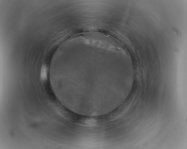 X0000113920075200910090945