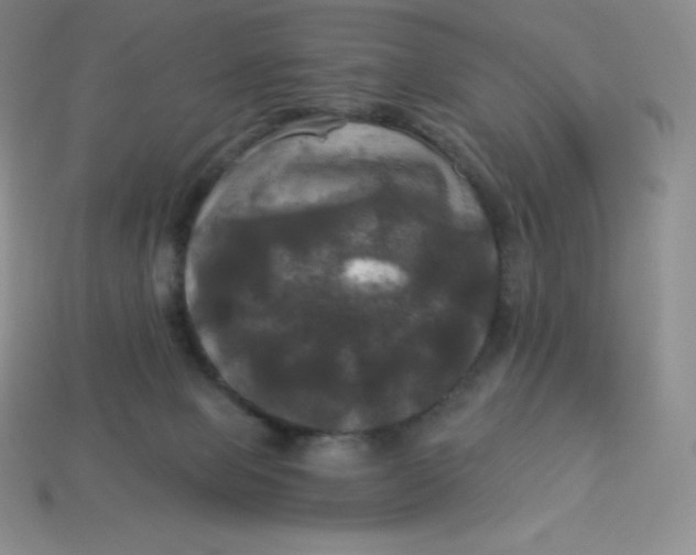 X0000113920077200910090945