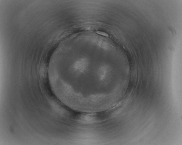 X0000113920078200910090945