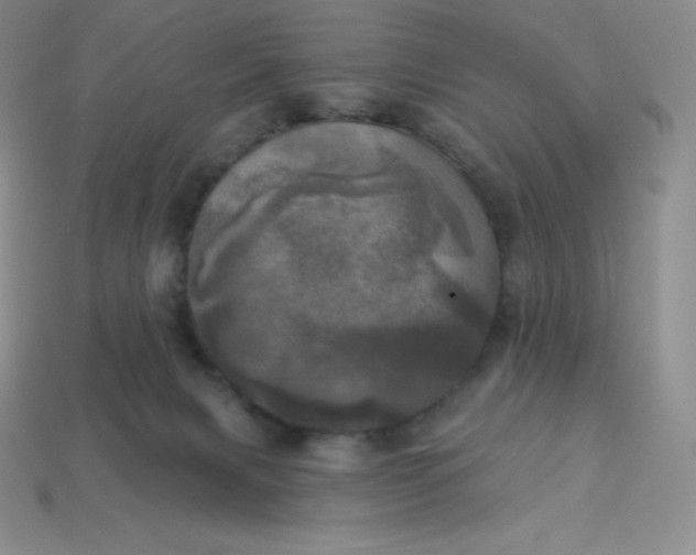 X0000113920079200910090945