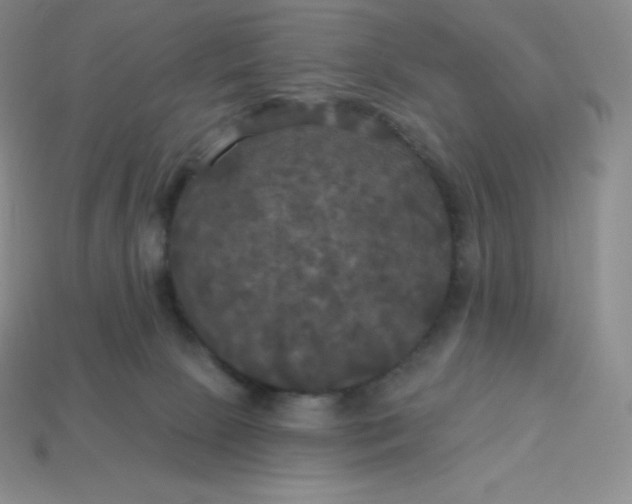 X0000113920081200910090945