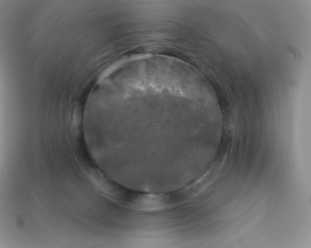 X0000113920082200910090945